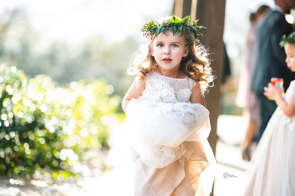 (ftl) Brie Weds 2519