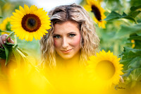 (ftl) Brie Sunflowers 6739